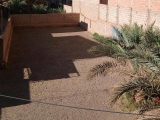 Hôtel restaurant Palmiers - 9