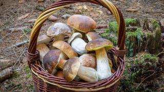 Barn&Haus-Stodoły Widokowe - 4