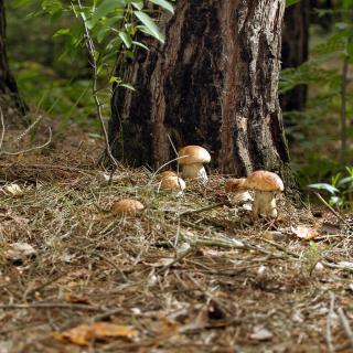 Barn&Haus-Stodoły Widokowe - 3