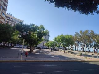 APCOSTAS Palmavera Playa de la Conxa - 0