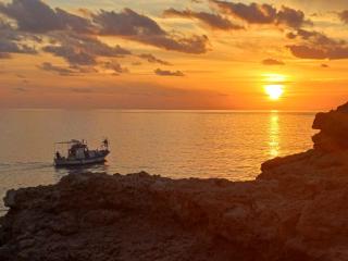 Villa Flamingo close Nissi beach - 9