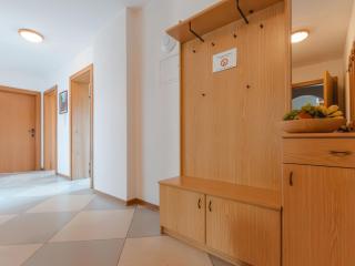 Apartment Voithofer-3 by Interhome - 2