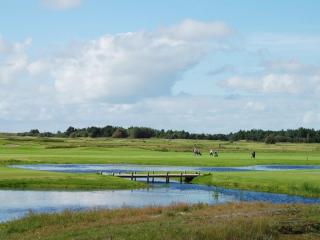 Holiday Home Alvina - 3-2km from the sea by Interhome - 7