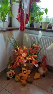 Pokoje u Kasi i Marcina - Lipnica Wielka - 7