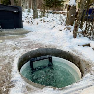 Arctic Garden Design Villa - 4