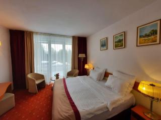 Andy Grand Hotel Predeal - 8