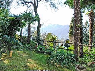 Apartment App- 1 by Interhome - 1