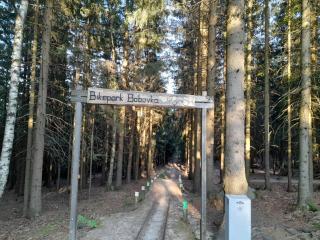 Apartment Riedlovka 2 by Interhome - 5