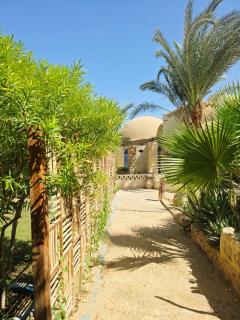 Fayoum Art Center - 7