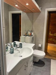Ensuite in Gorgeous Shared Oxford Flat - 2