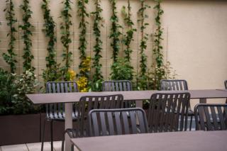 Honest Budapest by Chic & Basic - 2
