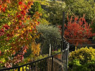 Peperosa in collina B&B - 4