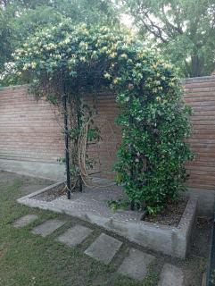 Complejo Quiya - Casa El Algarrobo - Alta Gracia - 5