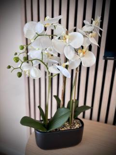 Apartament WHITE GLOVE przy Żołnierskiej - 8