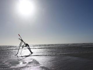 4 person holiday home in Fanø-By Traum - 9