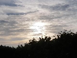 4 person holiday home in Fanø-By Traum - 7