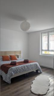 Appart Épine Strasbourg - 0