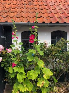 Farmhouse Style Near Balka Beach With Tennis Court - 1