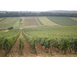 Gite Du Randonneur - 8