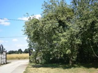 Gite Du Randonneur - 7