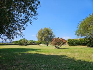 Tranquil Lake Escape - Modern Comfort & Nature - 7