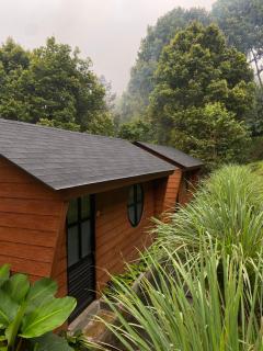 Clovehigh Cabin and Homestay Munduk - 3