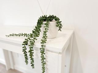 North Wollongong - Beach Style - Modern - Free Parking - Free Coffee Snacks - 1