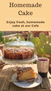 Fayoum Art Center - 8