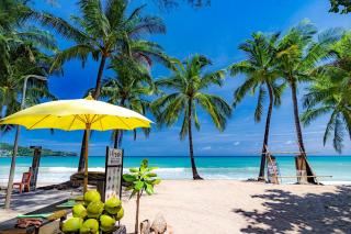 Elegant 2BR Oceanview Condo Oceana C73 - 5 min walk Kamala Beach - 8