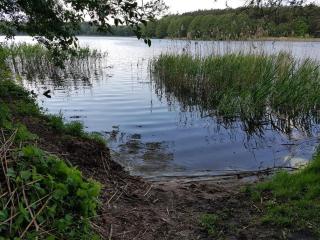 Bungalow Stuebner - 6