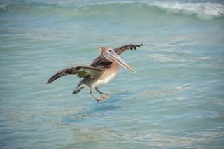 Beachfront condo with views of beach and spacious pool - 3