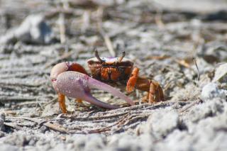 Stylish condo across from South Beach - 4