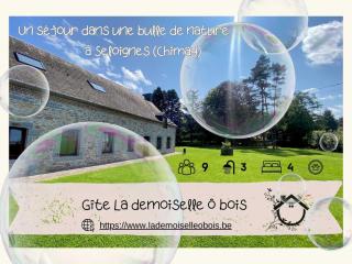 La Demoiselle ô Bois - Gîte nature et confort aux portes de Chimay - 3