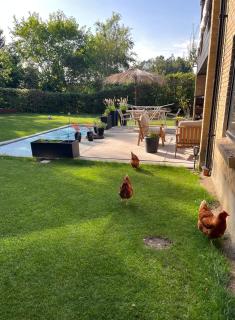 Winding B&B Silkeborg - 7