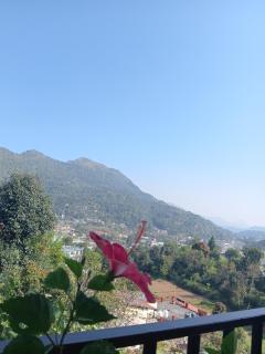 The Wooden Umbrella Near Kaichi Dhaam - 7
