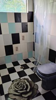 Barco Casa Pantanal Toca da Onça - 4