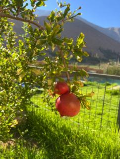 Casa privada para 10 personas Horcón Valle de Elqui - 8