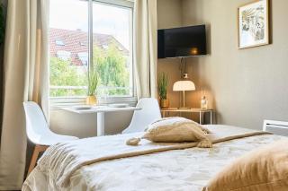 Cozy studio, Vauban in Lille - 5