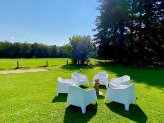 La Demoiselle ô Bois - Gîte nature et confort aux portes de Chimay - 9