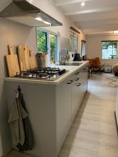 Natuurhuisje De Boshut - 1