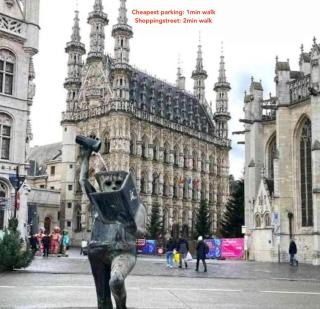 Cosy Boutique hotel leuven - self check in with airco !!! - Lovanio - 0