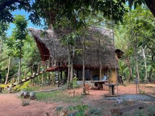 Sigiri Hunter's Eco Tree lodge - 7