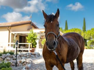 Holiday Home Poggio Piero 2 by Interhome - 8