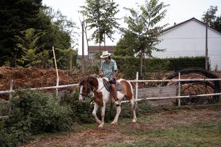 Guest House dei Cavalli - 6