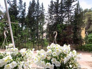 Nest at the beach - 3