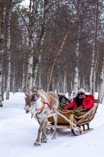 I NEW I - Luxury Loft - 2