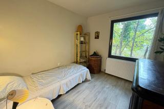 Szentendrei sziget, modern faház, télen is - 3