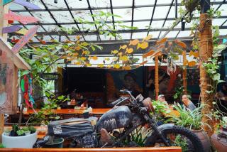 SECRET GARDEN Hostel - WANDERNEST Cat Ba - Ilha de Cát Bà - 2