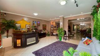 O Plácido Arte Hostel - 6