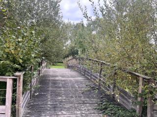 Logement près de la rivière - 8